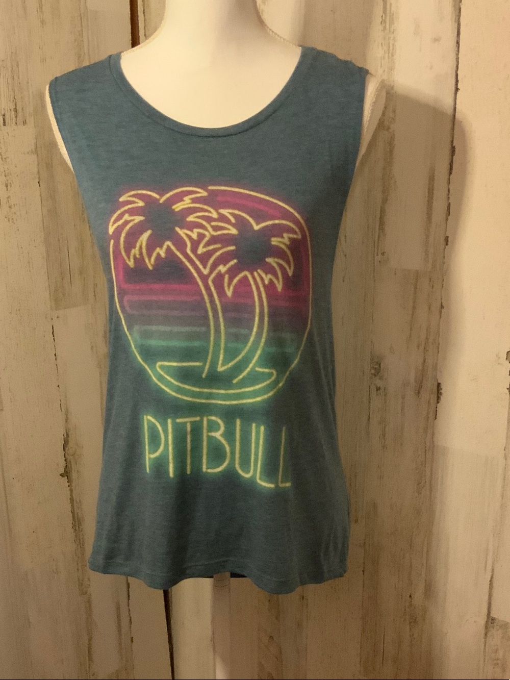 Pitbull Bella Canvas Teal Tank Top with Neon Palm Graphic